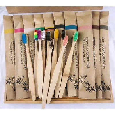 ECO Friendly Toothbrush - Natura Lane